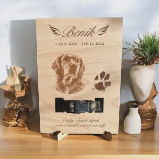 V životě potkáme spoustu přátel, ale ti čtyřnozí jsou ti, kteří často zanechají tu nejhlubší stopu v našich srdcích. Naše...